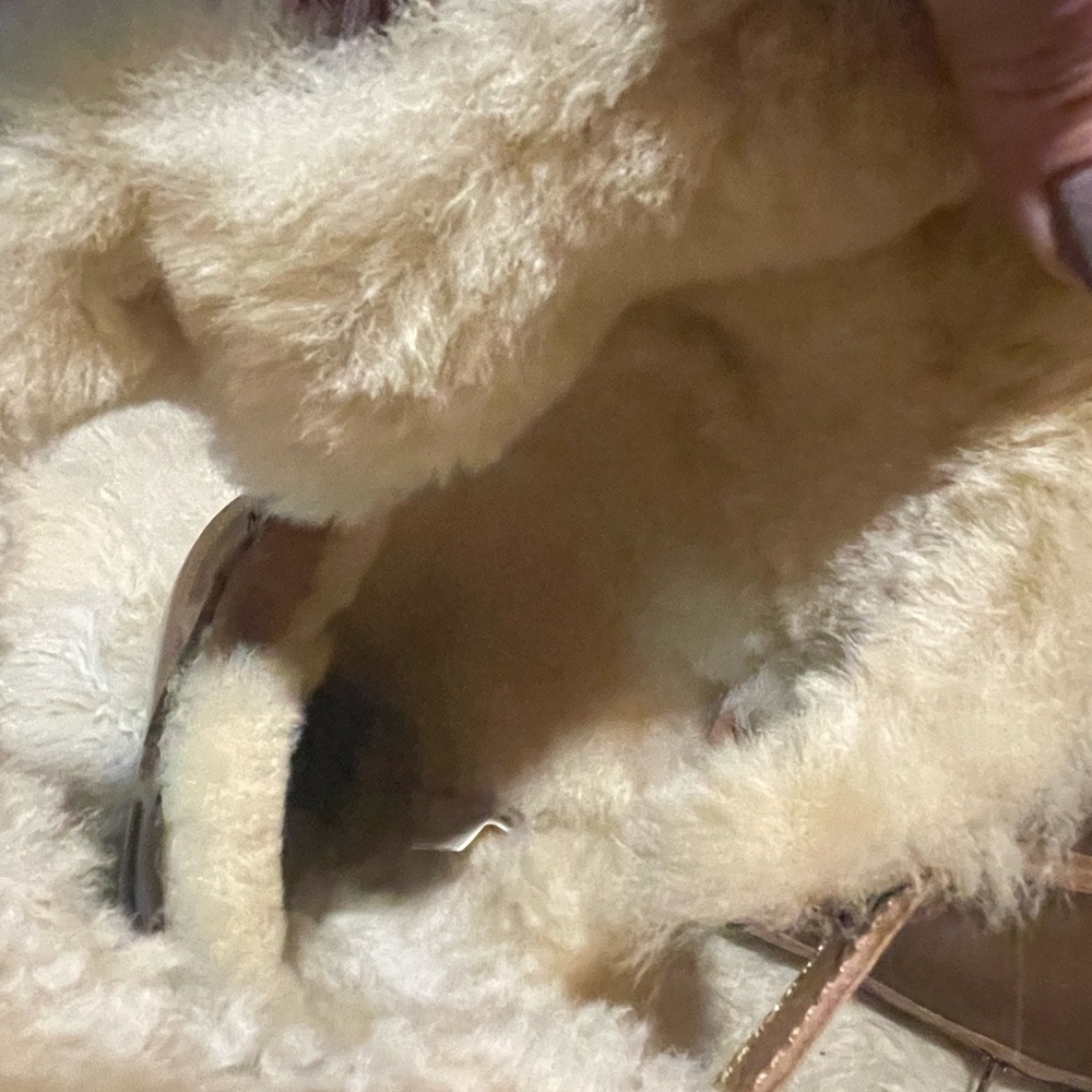 New Australia Luxe Collection OTK leather/shearling boots - Picture 10 of 13